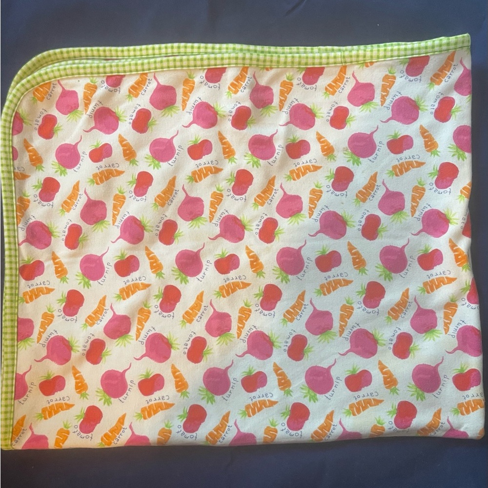 Gymboree Pink and Green Checkered Blanket